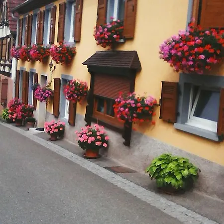 Relais De La Diligence Romanswiller